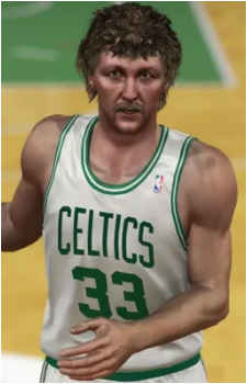 Larry Bird's image