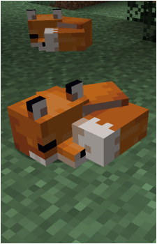 Fox {MC}