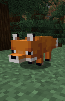 Fox's image