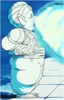 Mr. Popo