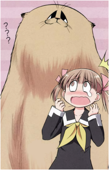 Donsuke's image