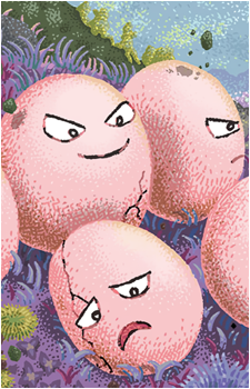 Exeggcute