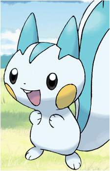 Pachirisu's image