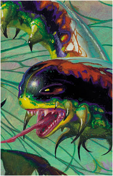 Cromat's image
