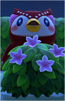Celeste {AC}