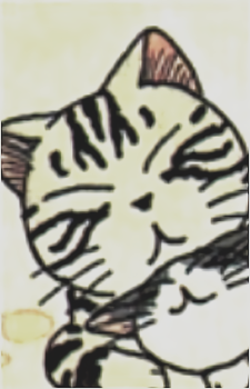 Image 7 Image 7