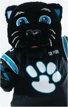 Image source: <a href="https://www.panthers.com/sir-purr/" title="External link" target="_blank">https://www.panthers.com/sir-purr/</a> Sir Purr
