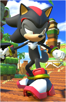 Avatar {Sonic}