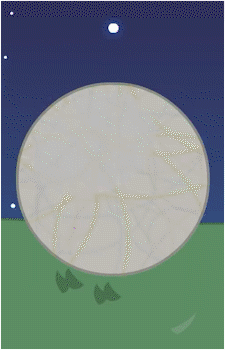 Image 7 of Taco