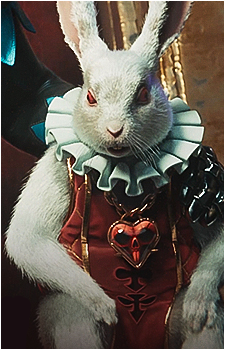 White Rabbit {RSL}'s image