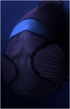 Marlin