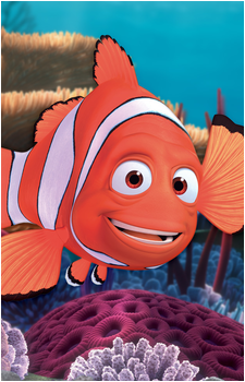 Marlin's image