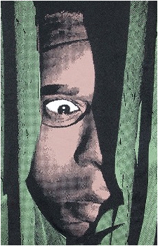 Image 11