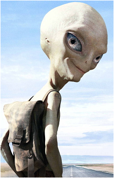 Paul {Paul}'s image