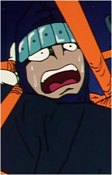 The Ninja