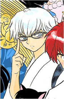 Image 7