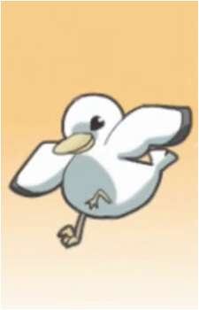 Seagull