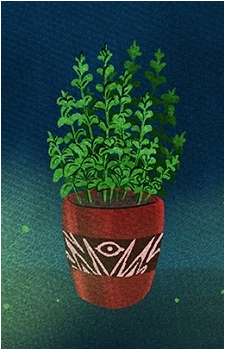 Image 7 Image 7