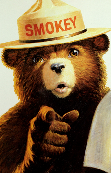 Smokey Bear's image