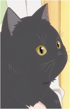 Daru's image