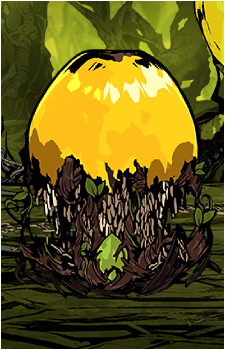 Image 4 of Golden Apple