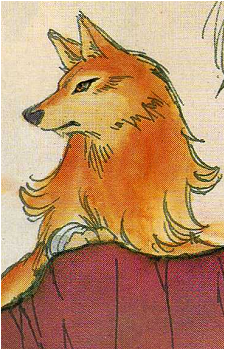 Image 14