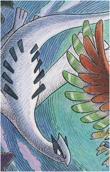 Image 24