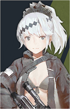 PSG-1's image