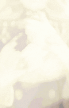 Image 24