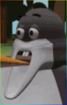 Image 31