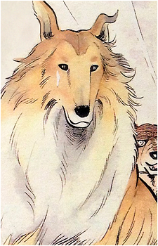 Wilson's image