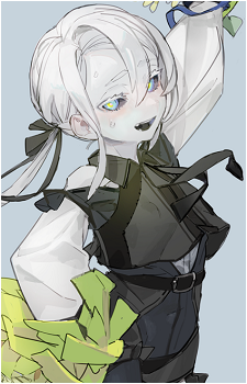 Image 17