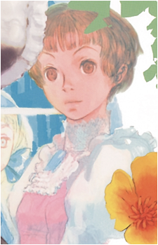 Image 8 Image 8