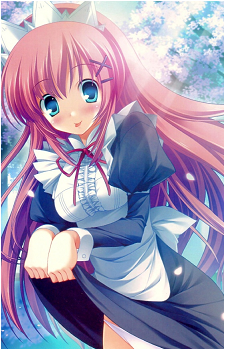 Nanaka Shirakawa