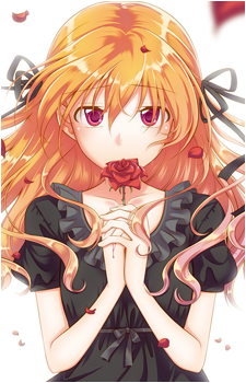 Koyuki Sasamori