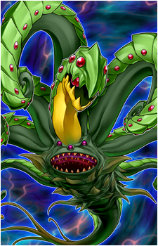 Predaplant Drosophyllum Hydra's image