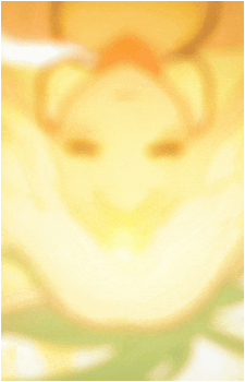 Image 5 Image 5