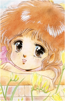 Image 8 Image 8