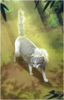 Ivypool