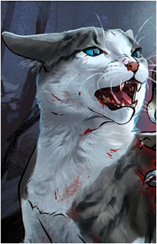 Ivypool