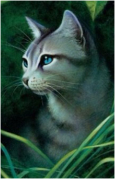 Ivypool