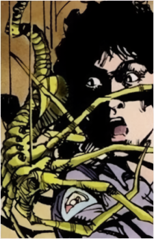 Ripley