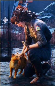 Ripley