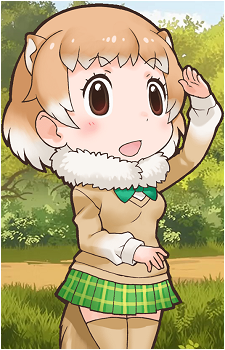 Black-tailed Prairie Dog's image