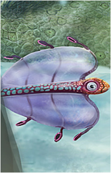 Bladderfish's image