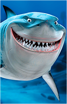 Bruce {FN}'s image