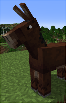 Mule's image