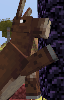 Mule