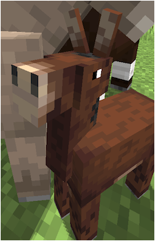 Mule
