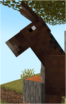 Mule